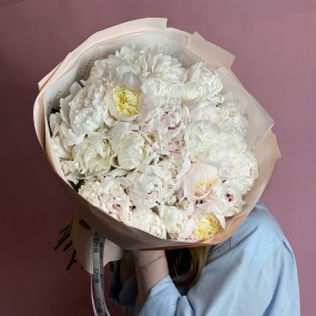 Сезонный букет из белых пионов (25 шт.)