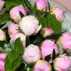 Букет из пионов «Момент»3