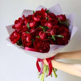 Букет из пионов «Maroon»