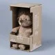 Ёжик Колюнчик в очках1